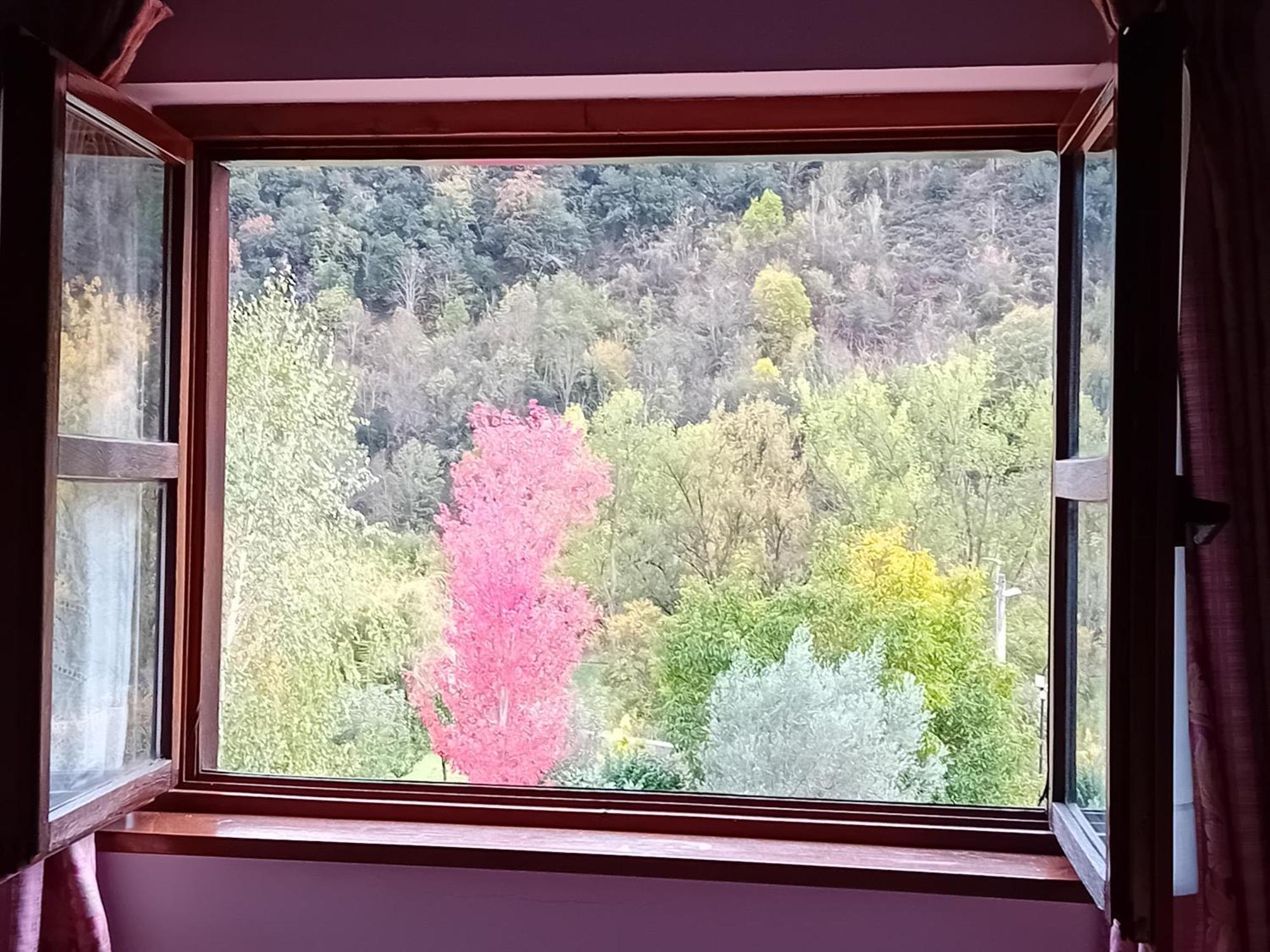 Picos De Europa Suites And Rooms Turieno Kültér fotó