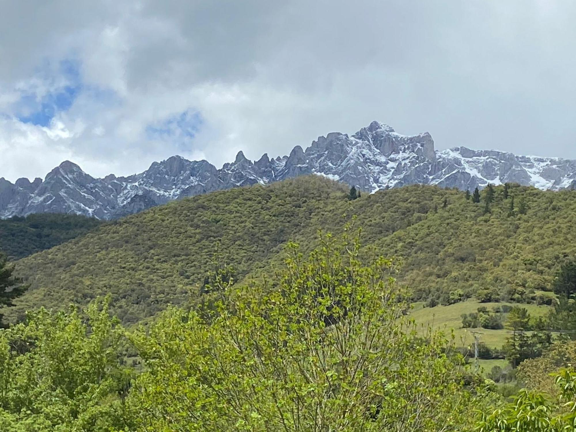 Picos De Europa Suites And Rooms Turieno Kültér fotó