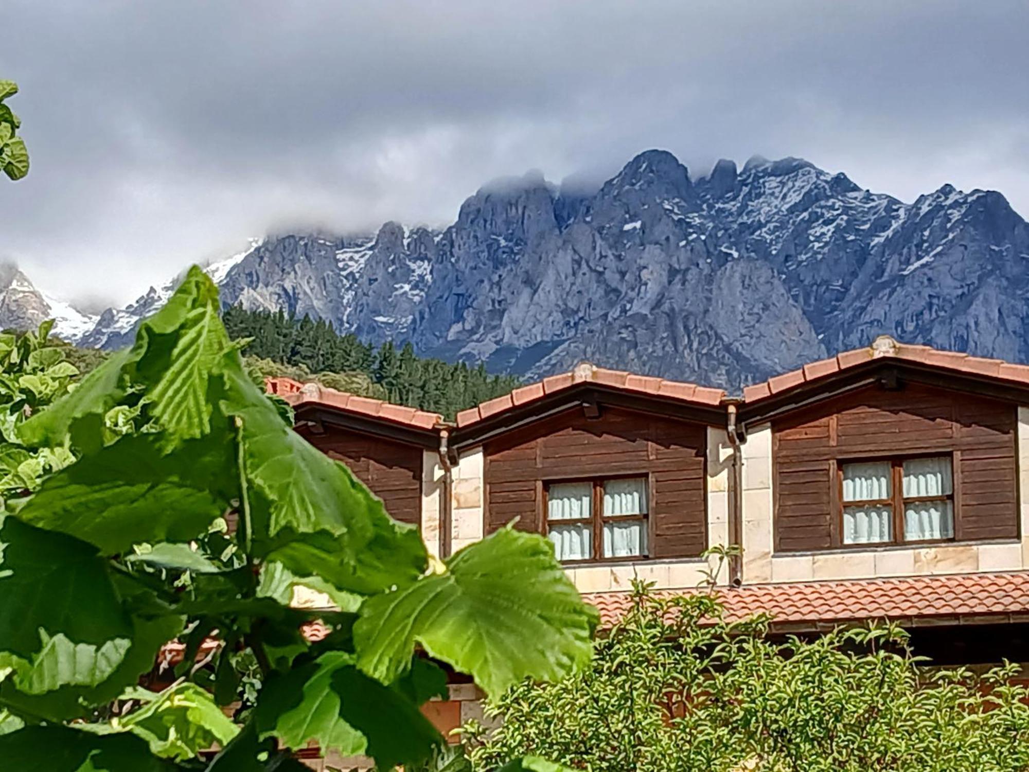 Picos De Europa Suites And Rooms Turieno Kültér fotó