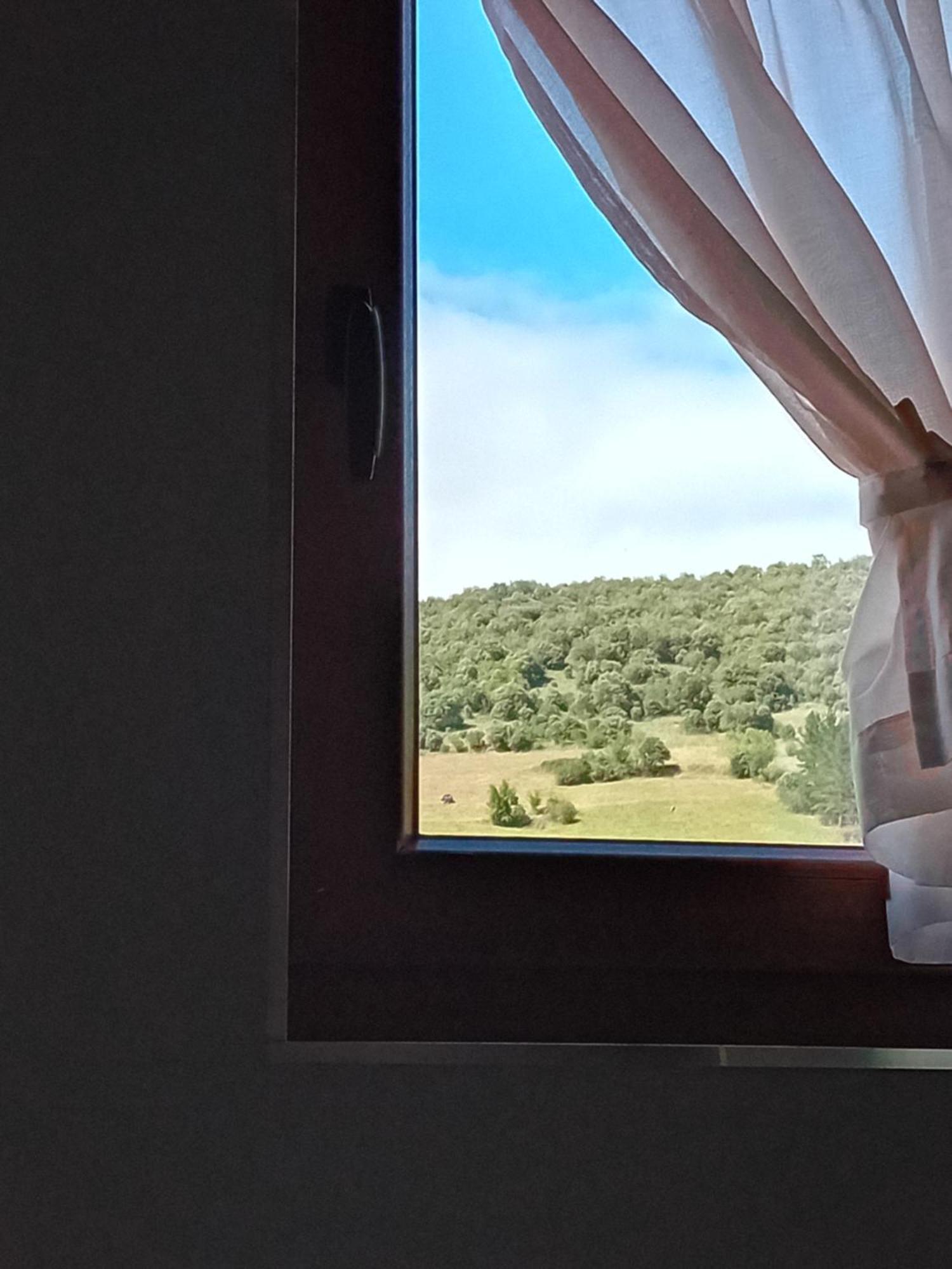 Picos De Europa Suites And Rooms Turieno Kültér fotó