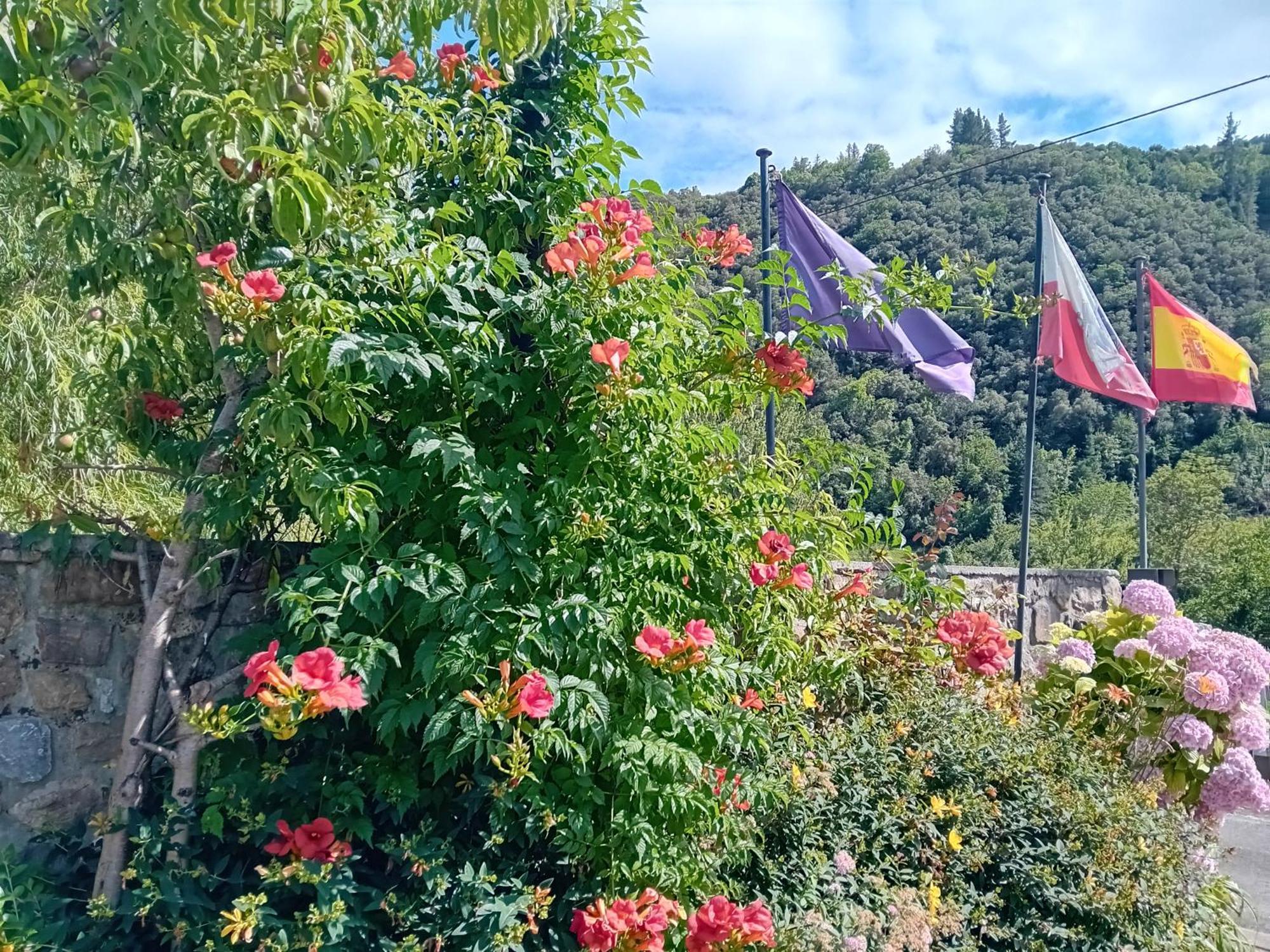Picos De Europa Suites And Rooms Turieno Kültér fotó